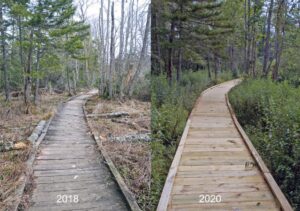Staff upgrades section of boardwalk at Cranberry Glades